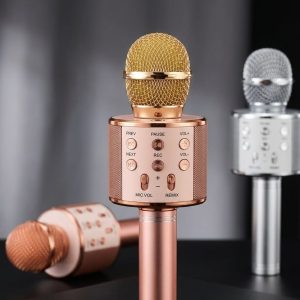 WS-858 ওয়্যারলেস ব্লুটুথ কারাওকে মাইক্রোফোন